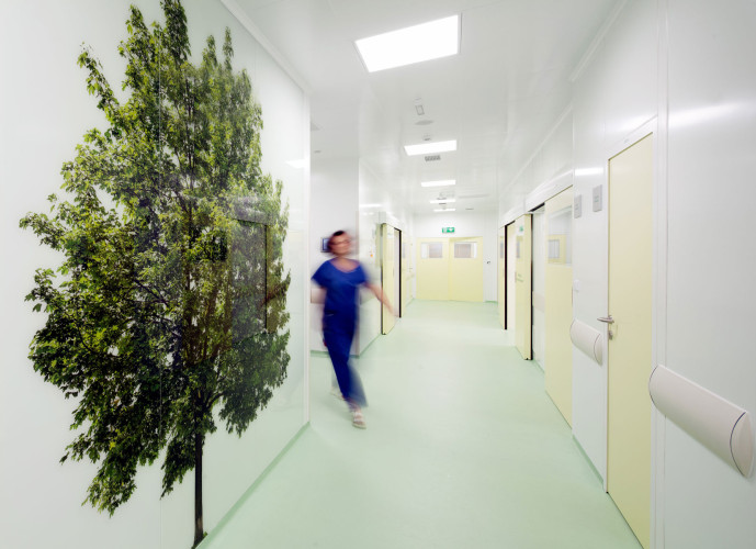 Fotografie 12_original.jpg