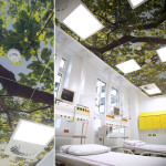 Fotografie 14_original.jpg